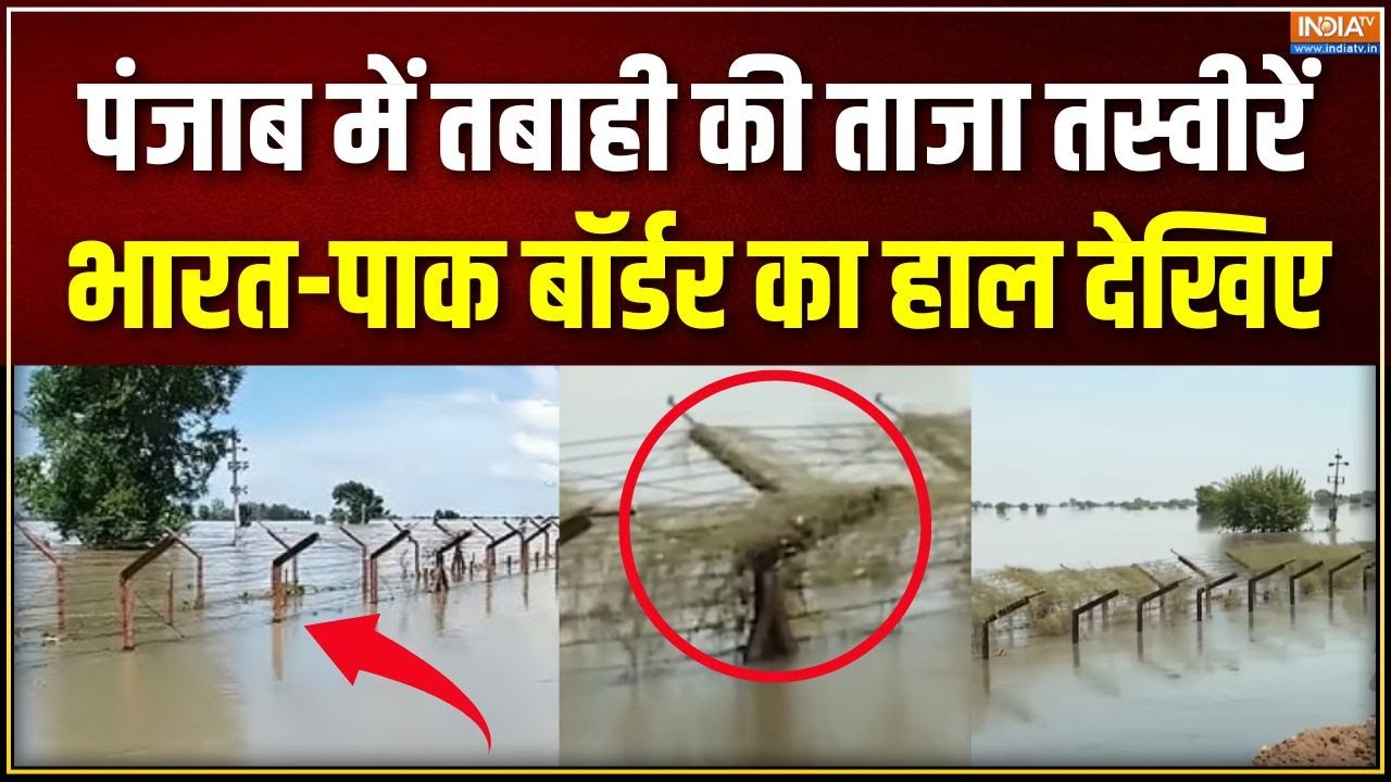 Punjab Flood Update : पंजाब बॉर्डर तक लबालब, बेकाबू रावी व्यास सतलज! | India-Pak Border | Firozpur