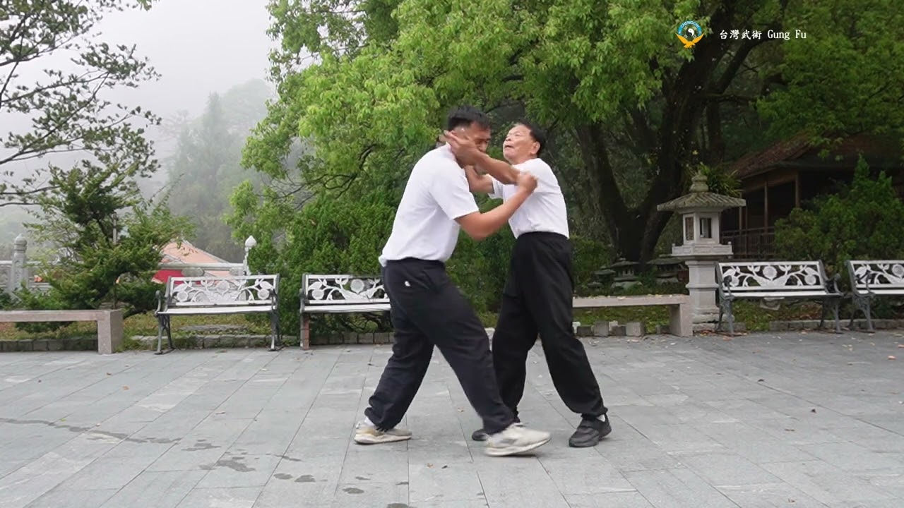 功法3 太極拳散手對打之發勁｜台灣武術 Gung Fu｜Tai Chi Gungfu｜