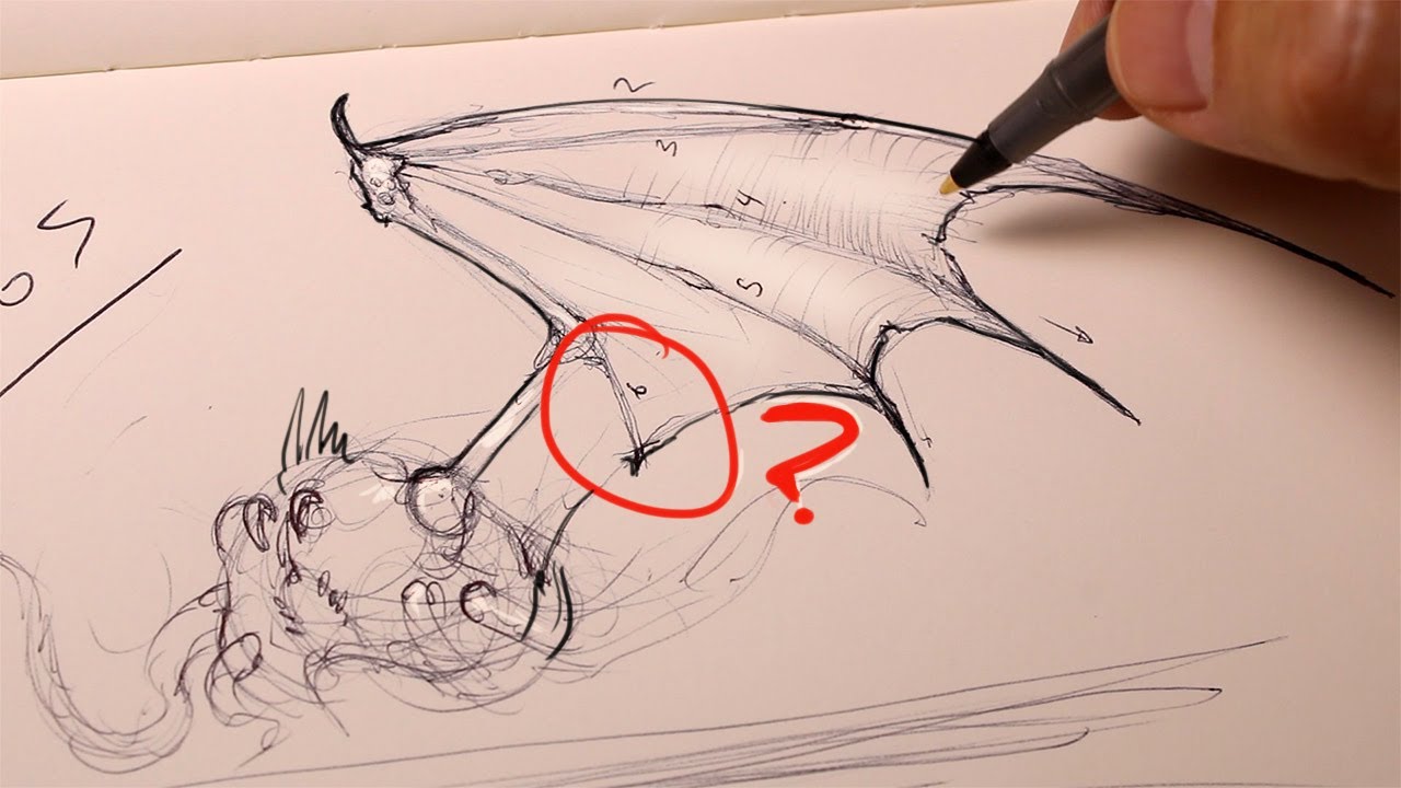 How to Sketch Creature Wings for Beginners!