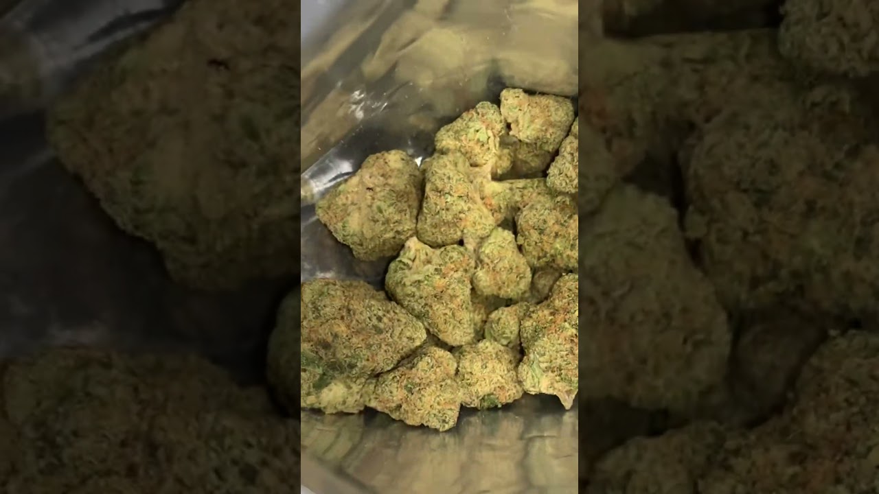 THE LOUD PLUG EXOTIC GAS #theloudplugexoticgas #theloudplug #Exoticgas