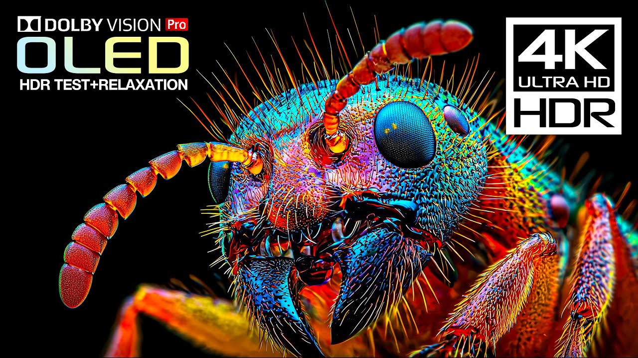 Best 4K HDR Dolby Vision | (120fps 4K Video)