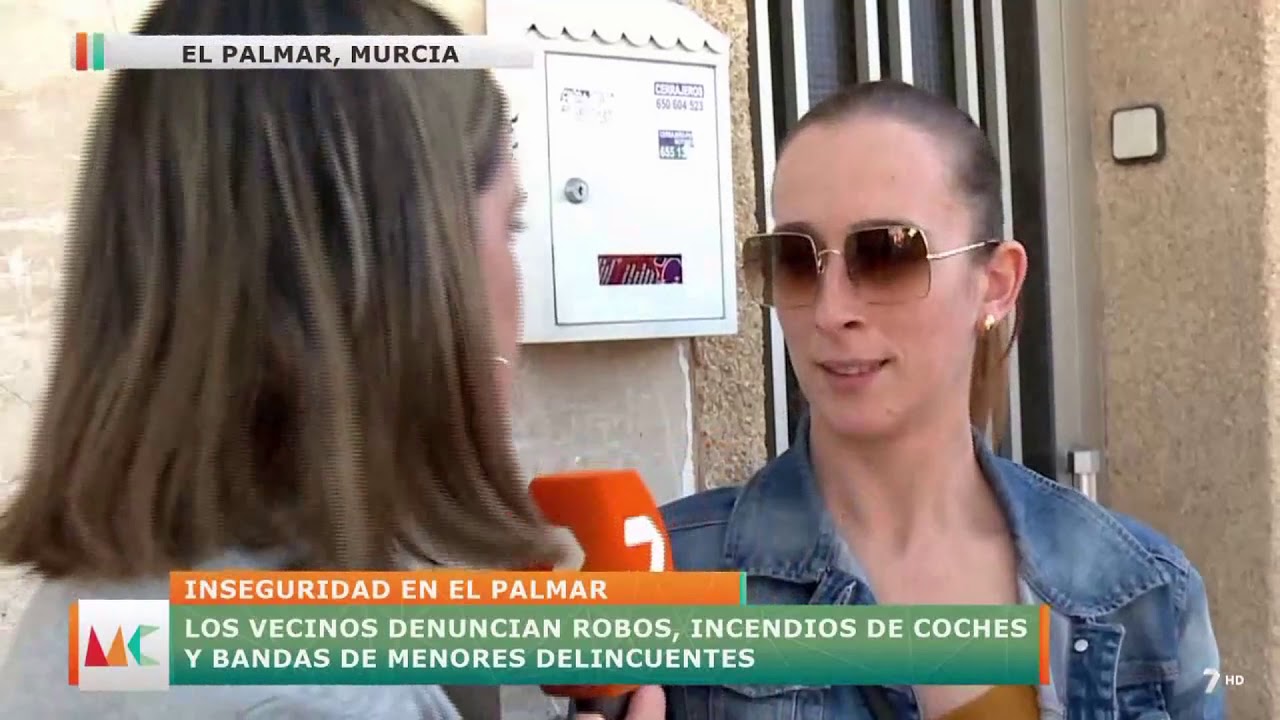 DELINCUENCIA EN EL PALMAR