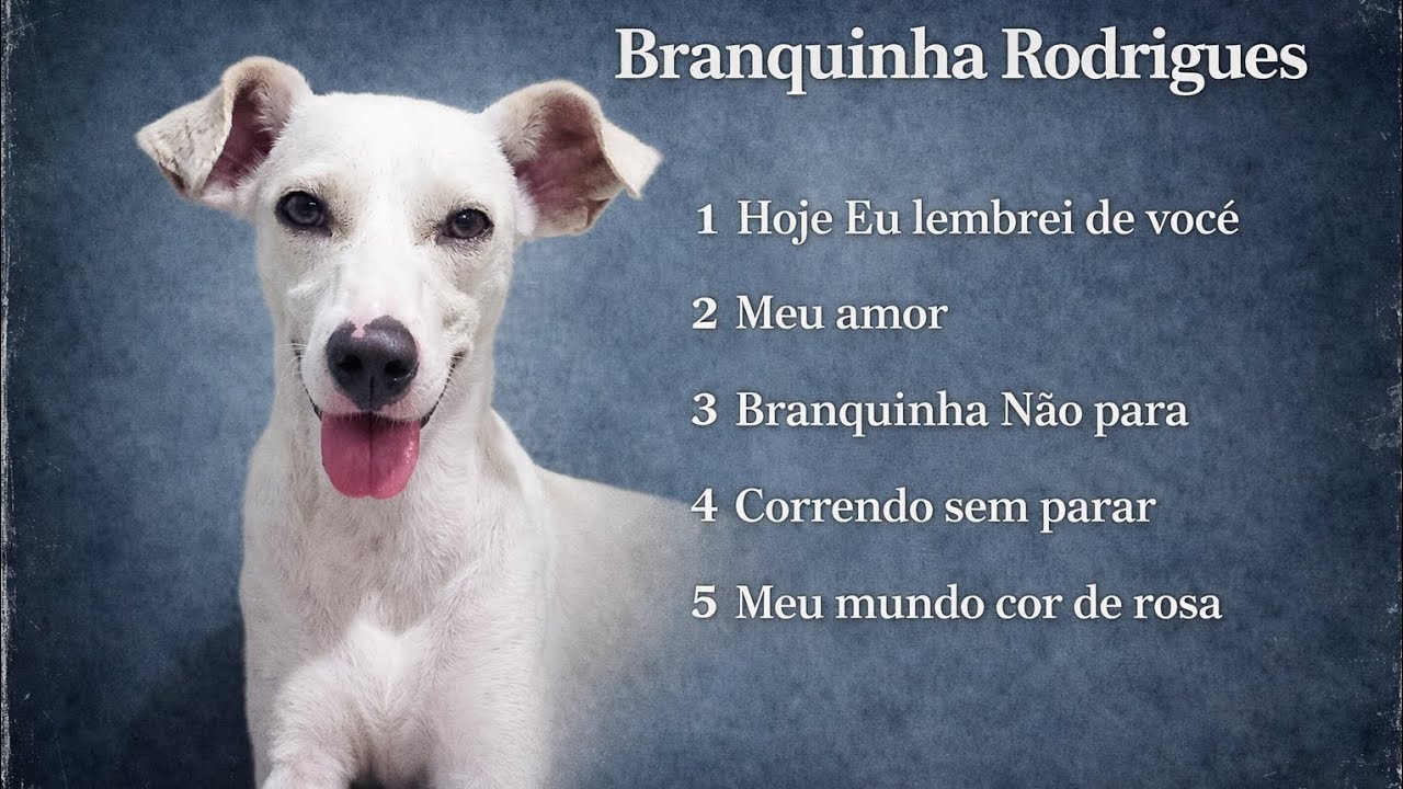 Meu Mundo Cor de Rosa-Branquinha Rodrigues 