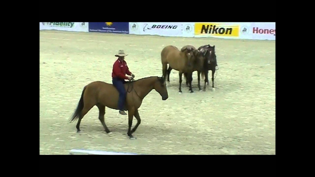 Guy McLean horsemanship part 2