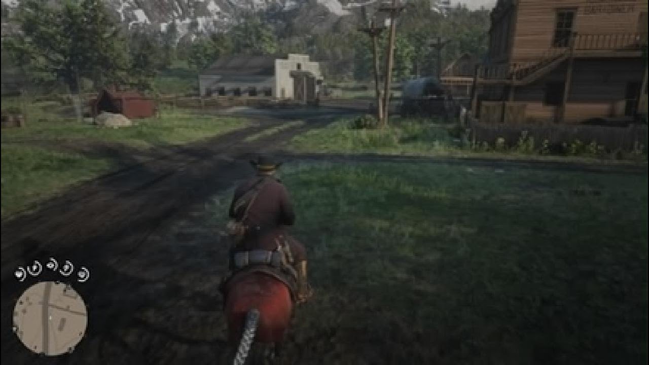 Red Dead Redemption 2_20260103002540