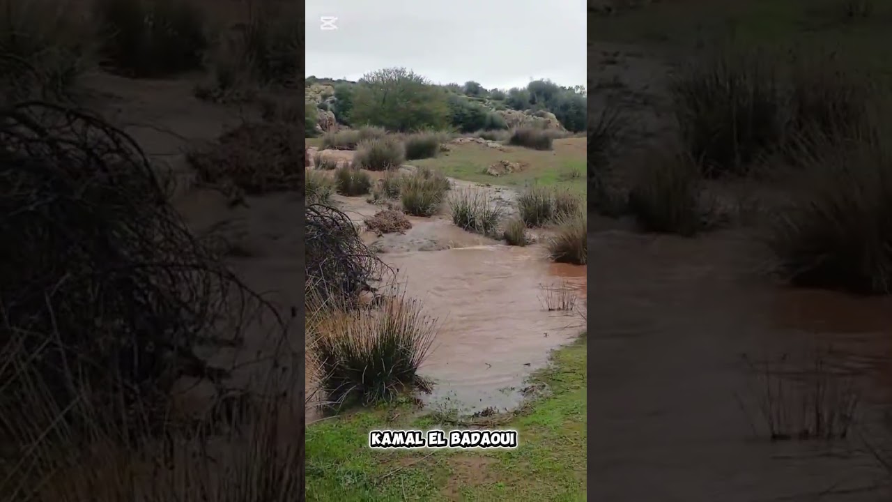 راس عين سلطان سبع عيون 
