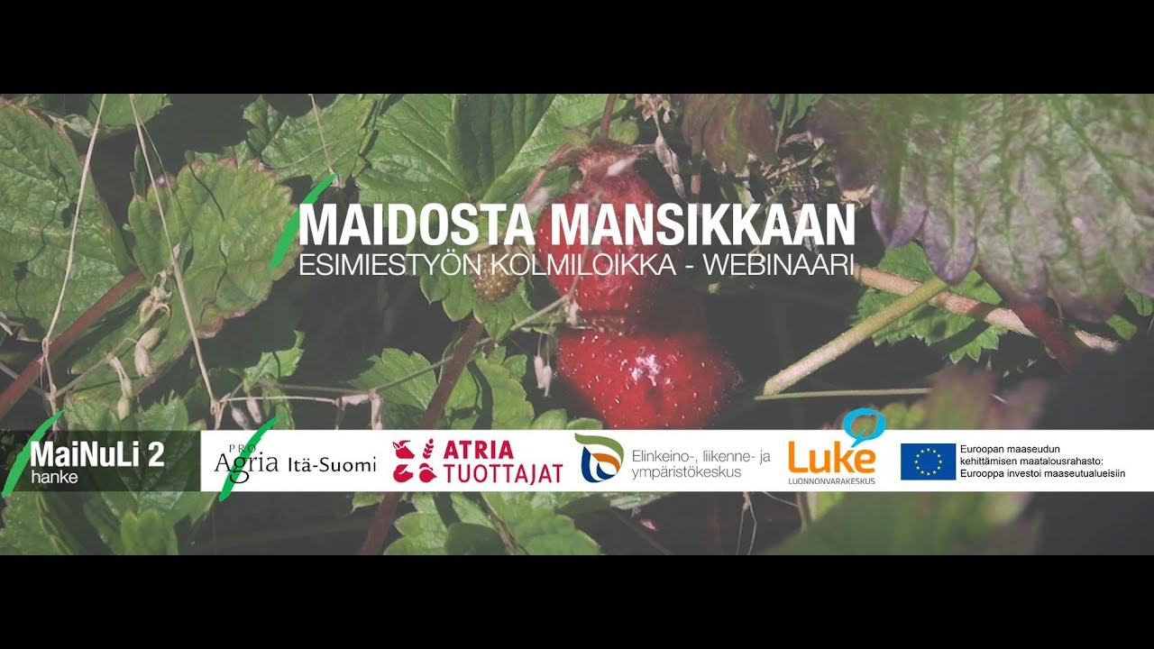 Webinaaritallenne: Maidosta mansikkaan &ndash; esimiesty&ouml;n kolmiloikka