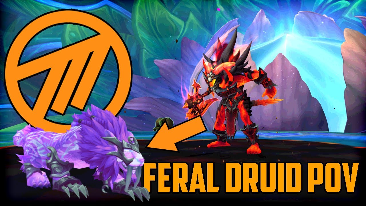 Method VS Mythic Fyrakk - Feral Druid PoV - World 3rd