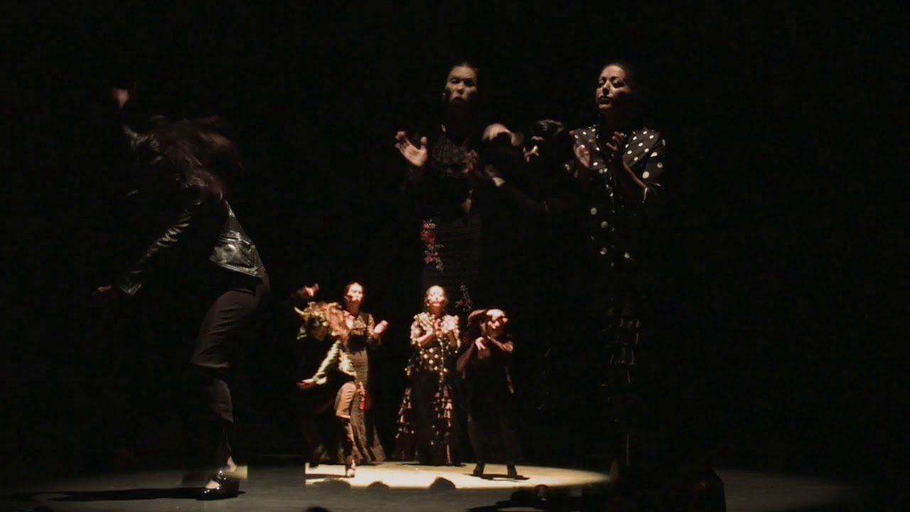 Fanny Ara Flamenco 