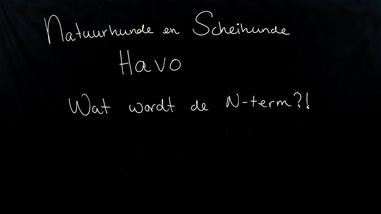 Eindexamen Havo Na & Sk: Wat wordt de N-term?! (2019)