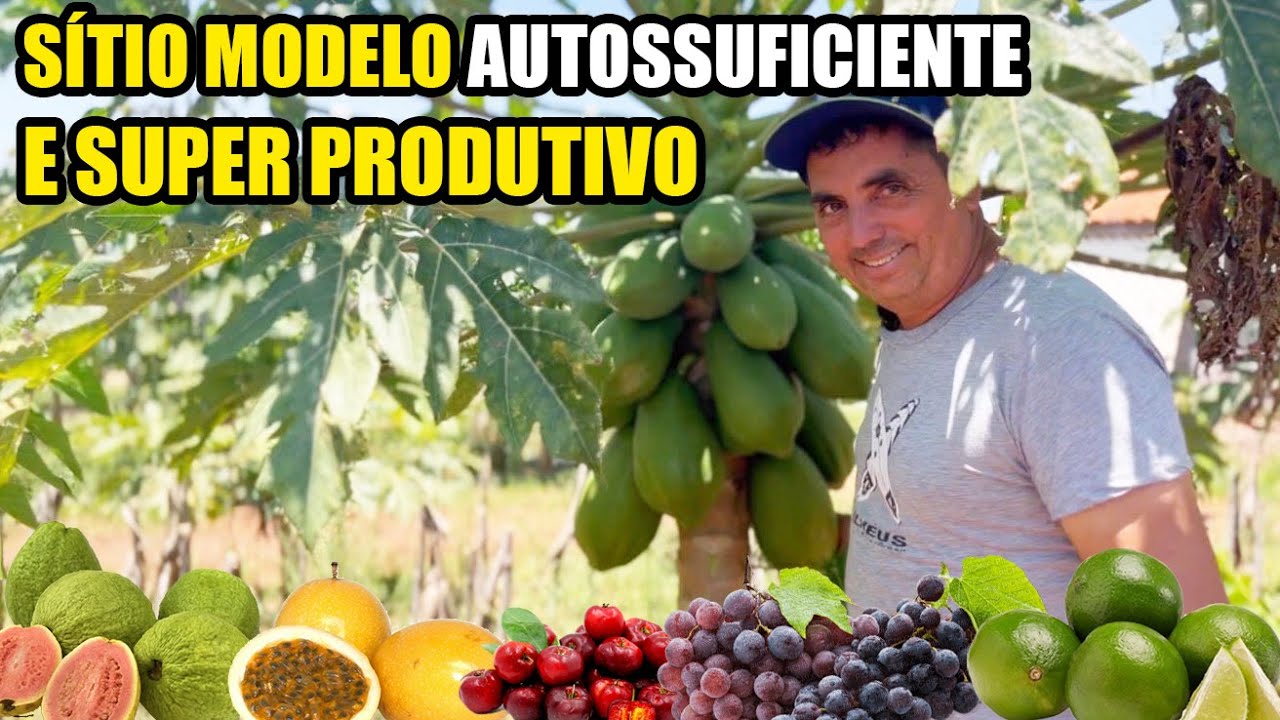 SITIO SUPER PRODUTIVO DO SEU JOÃO