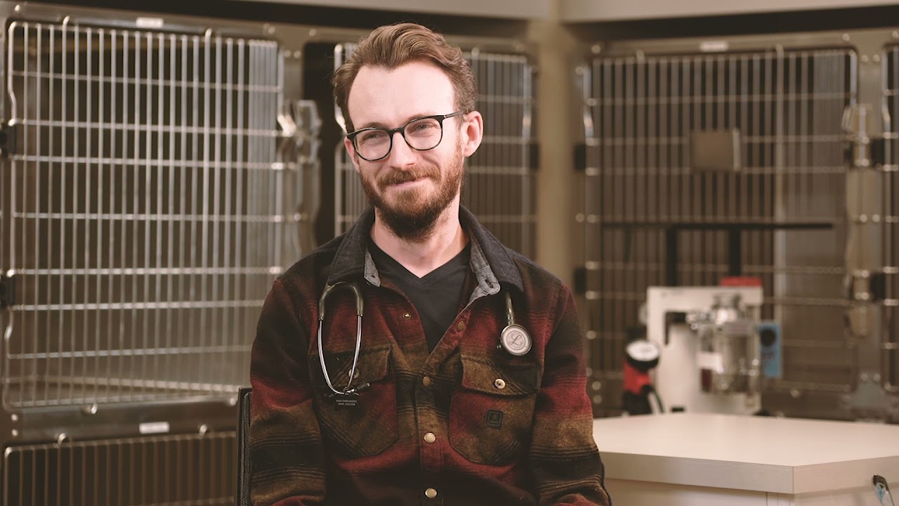 Meet The Specialist - Dr. Max Parkanzky, Veterinary Internist