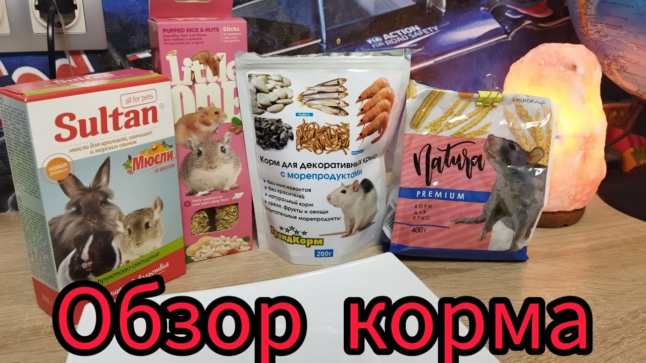 Небольшой обзор корма/корм для крыс #моилюбимки#твимз #листиккексикмишутка #крысы#животные #ratslove