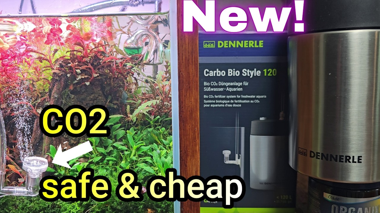 Decent Co2 generator (semi-professional). Dennerle carbo bio 120