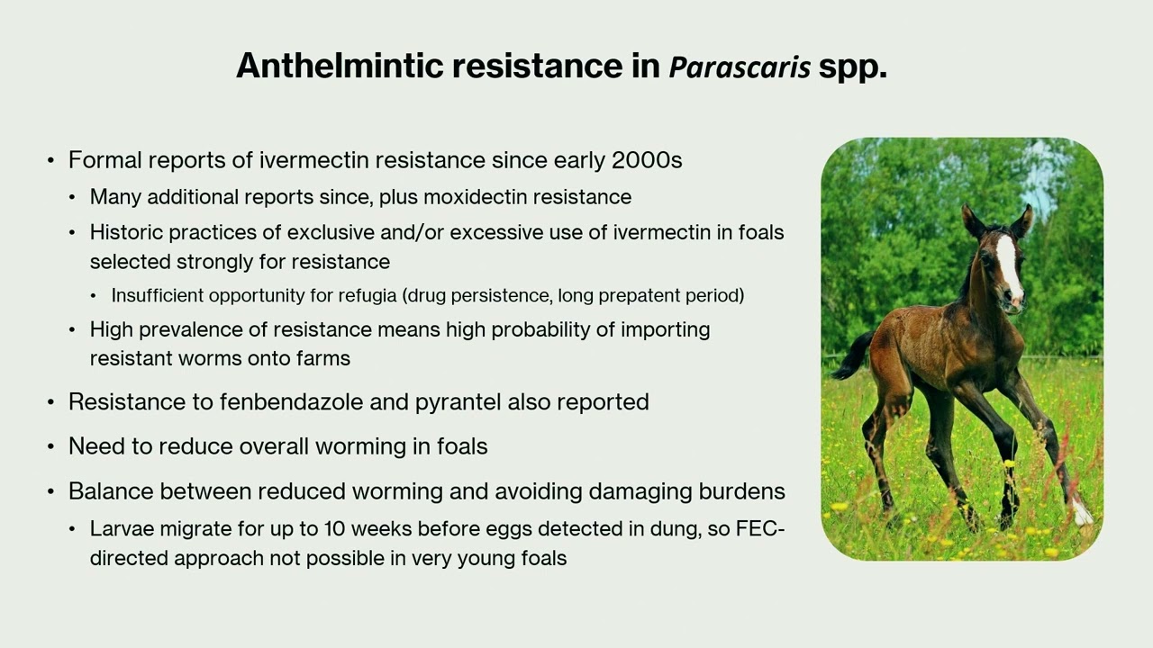 Parasites and Resistance on UK Stud Farms  How worried do we need to be - Jacqui Matthews