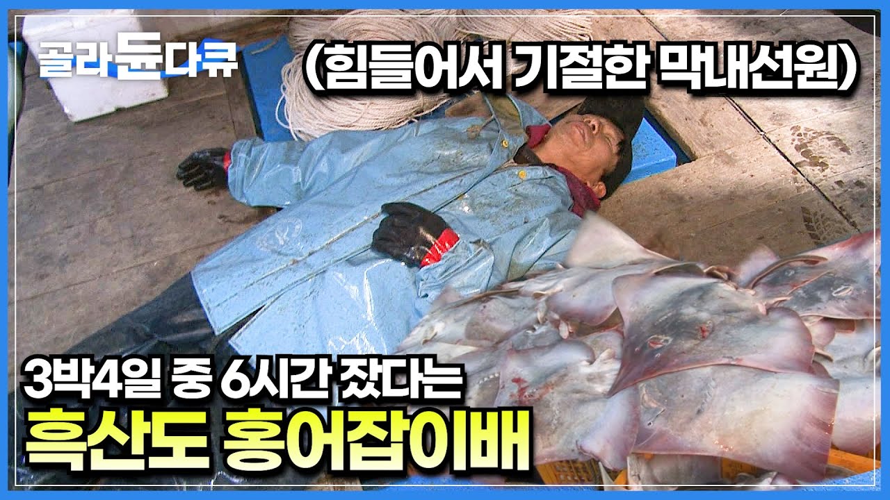 칠레산하고 절대 비교 불가능한 오리지널 흑산도 홍어잡이┃같이 배 탄 동료의 죽음도 본 목숨 걸고 일하는 선원들┃정통 홍어잡이배┃극한직업┃#골라듄다큐