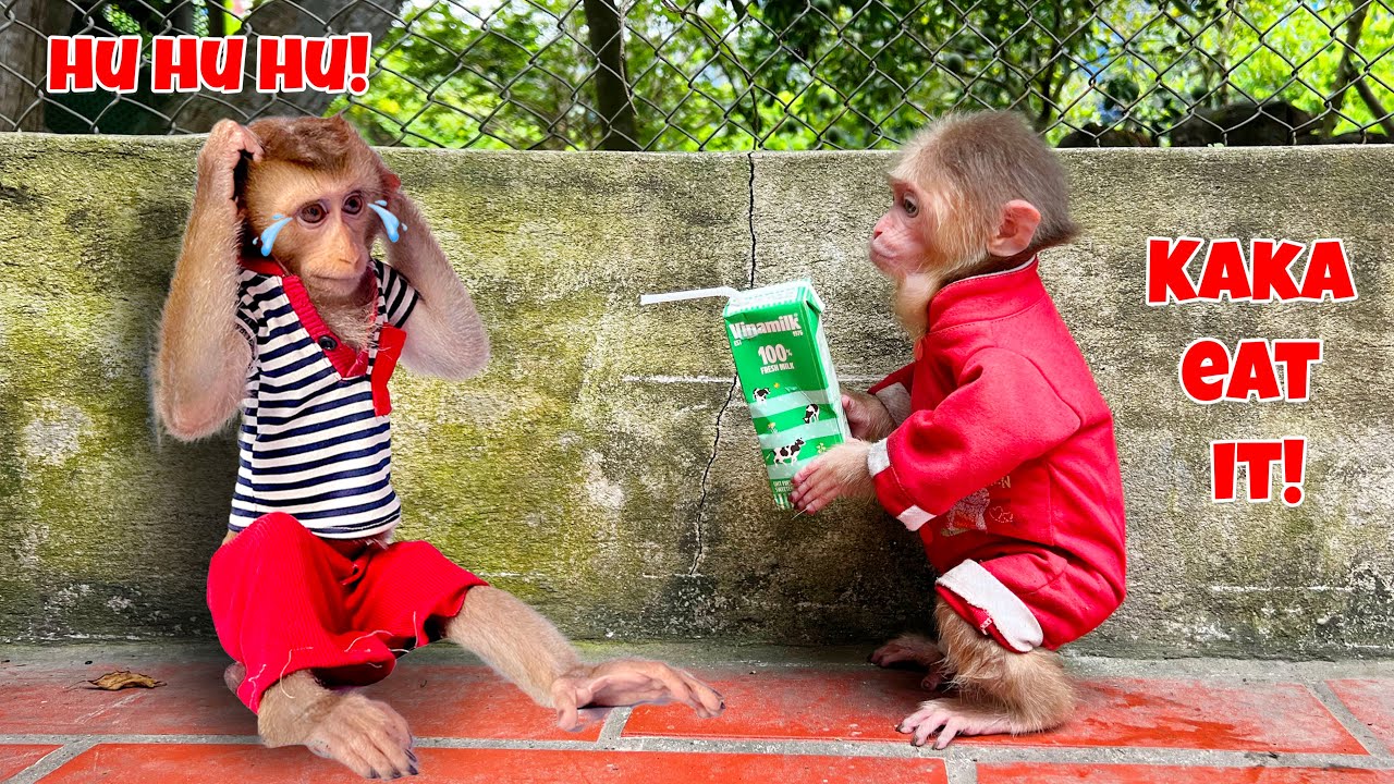 Кака был тронут до слез действиями Бобби по отношению к нему!