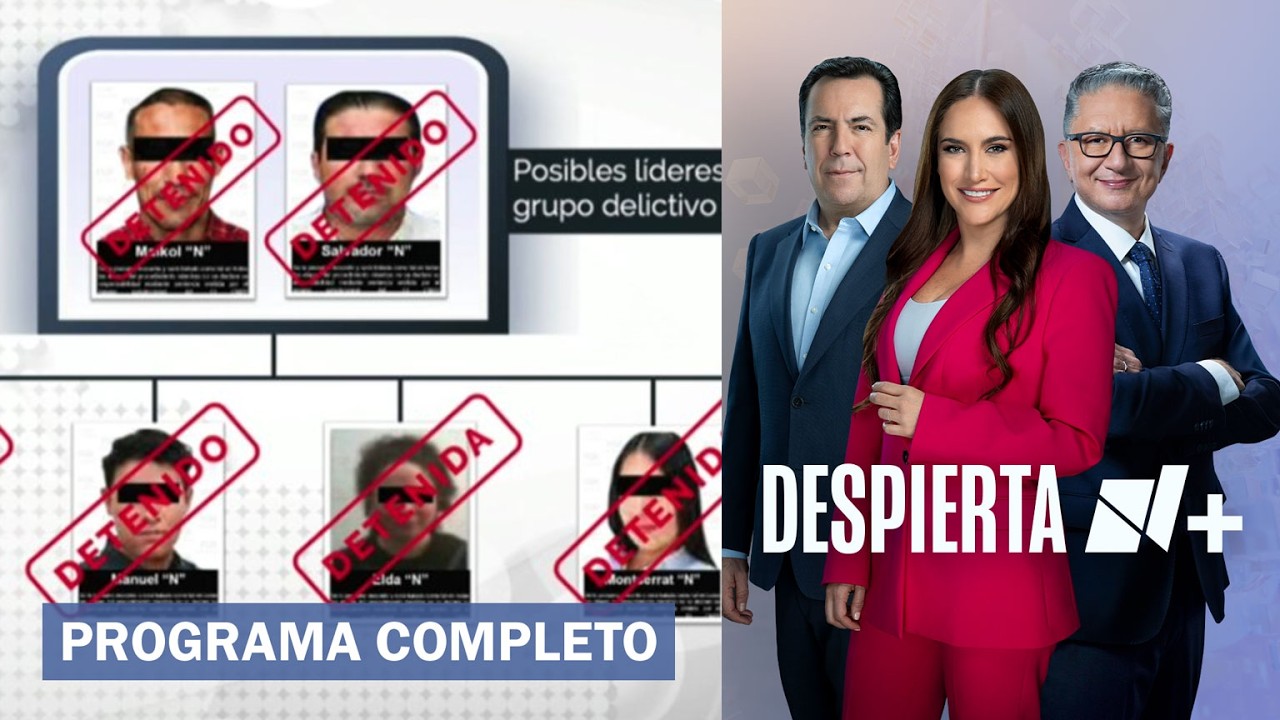 Desmantelan organizaci&oacute;n delictiva 