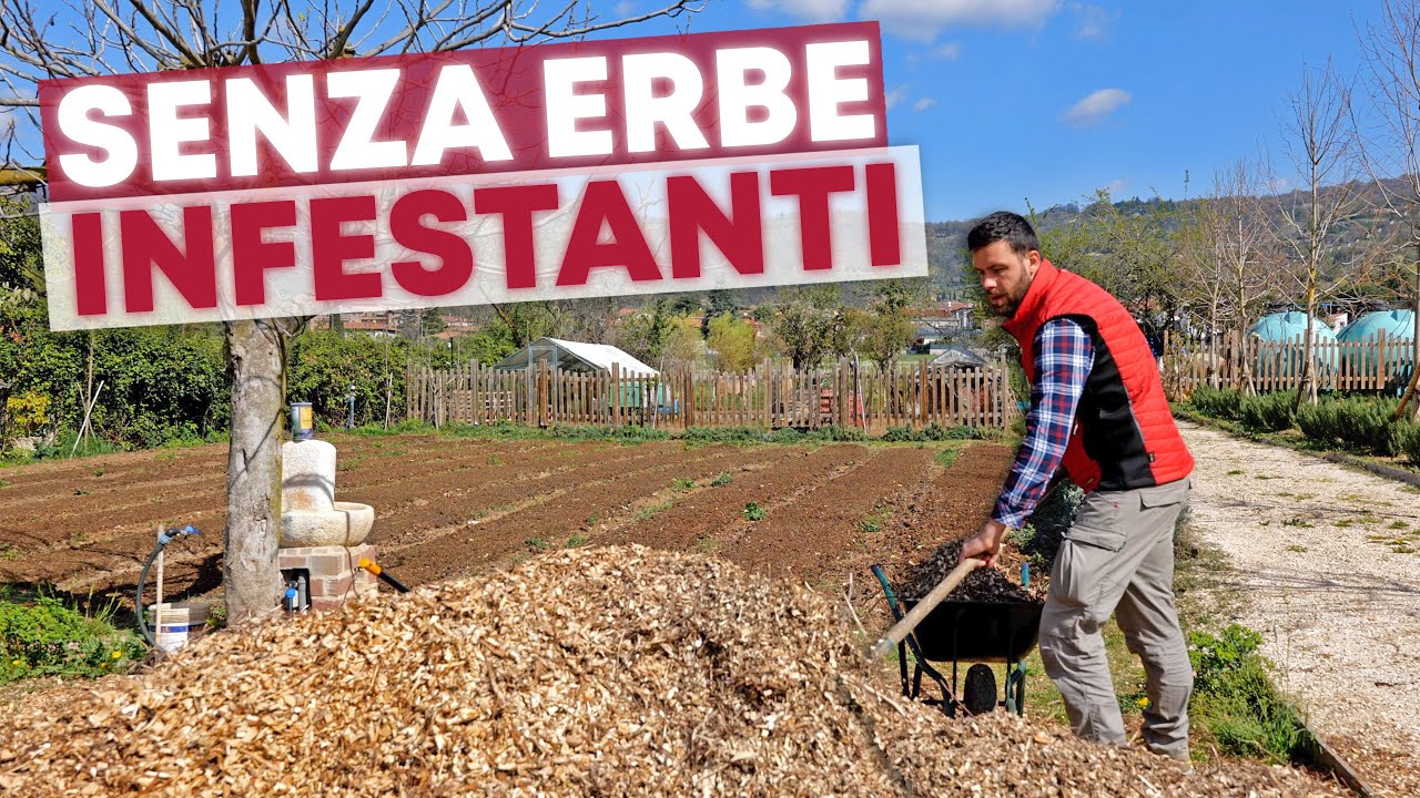 COME fanno L'ORTO dei veri PROFESSIONISTI