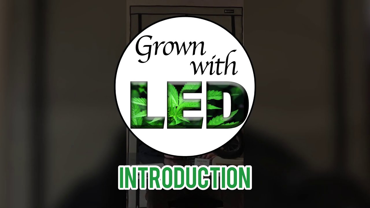INTRODUCTION: Meet THOMAS 🤙🏻 from @grownwithled...soon you will see LOOOOOOOOOTS of him. 😉😃🧐🤓