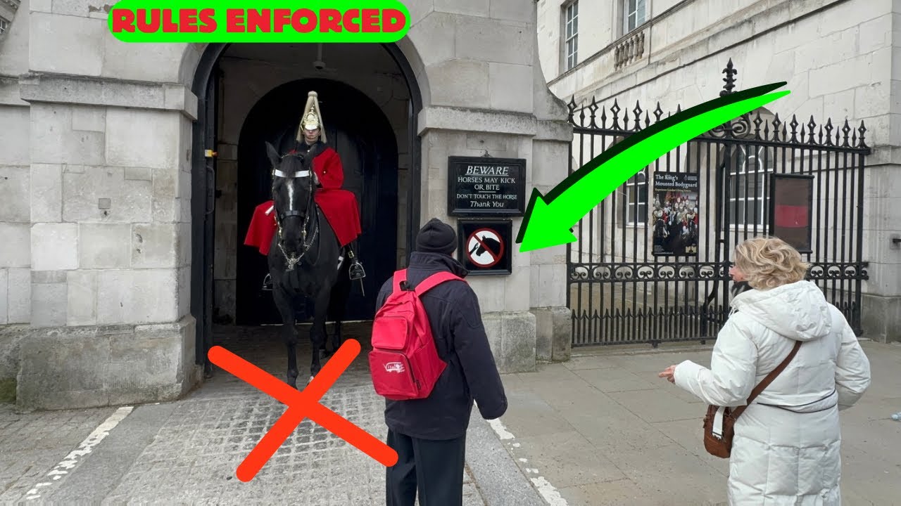 🤩A Magical Sight: Black-Haired Horses Pulling Gorgeous Carriage, King’s Guard in Awe 