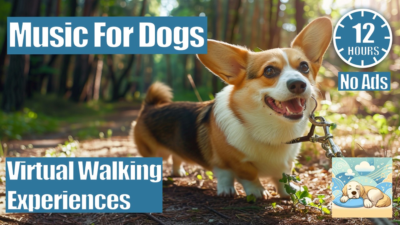 Virtual Dog Walk & Adventure 🌳🐕 12 Hours | Entertainment for Home Alone Dogs | Relax The Dog