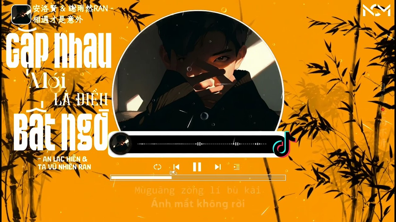 [Vietsub｜Pinyin] Gặp Nhau Mới Là Điều Bất Ngờ - An Lạc Hiền & Tạ Vũ Nhiên RAN｜安洛賢 & 謝雨然RAN - 相遇才是意外