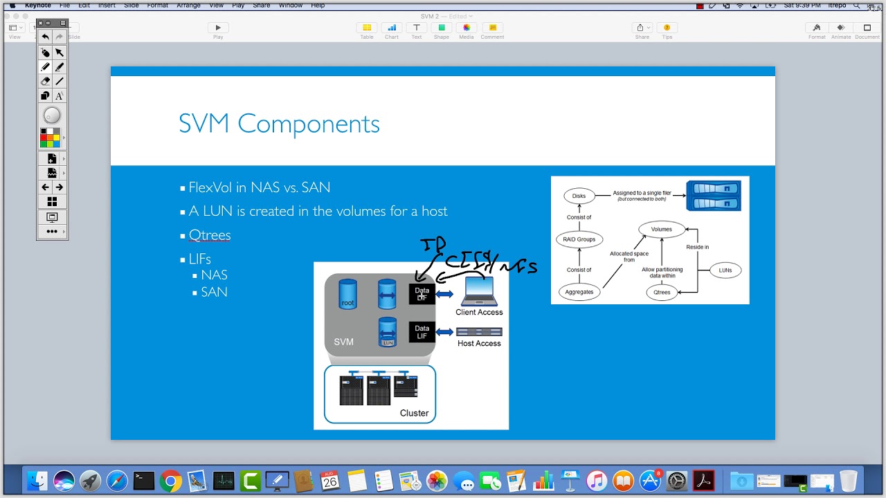 Netapp storage Data LIFs