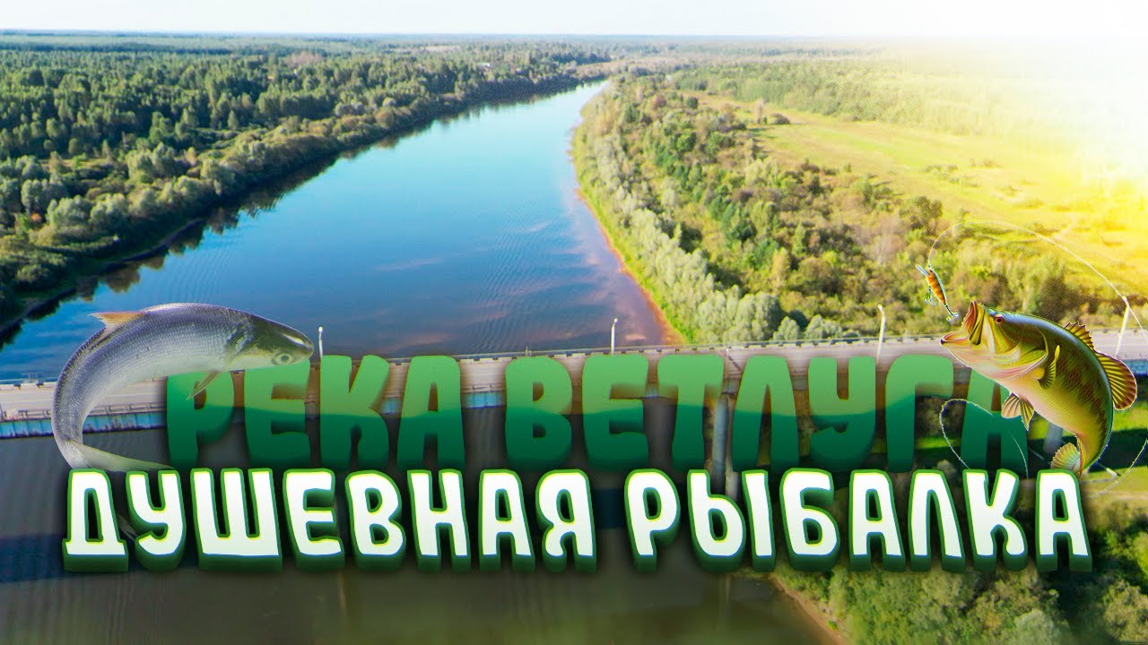 Рыбалка. 2е сентября. Река Ветлуга.