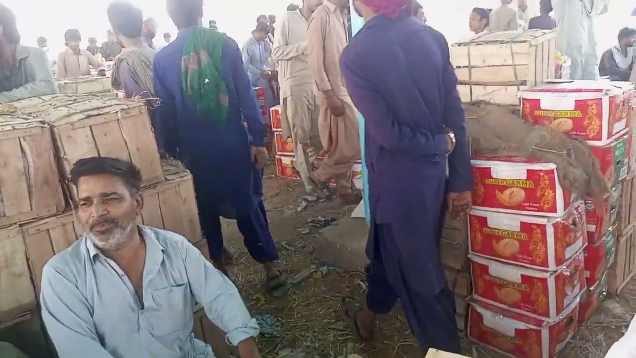اج ہے 3 مارچ 2026 سکھر فروٹ منڈی فروٹ کے ریٹ شیئر کریں           #sukkurmarket 
