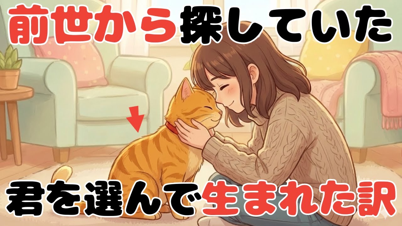 猫の雑学!! 【魂の約束】「今度こそ幸せにするね」空の上であなたを選んだ猫だけが持つ、前世からの記憶とサイン