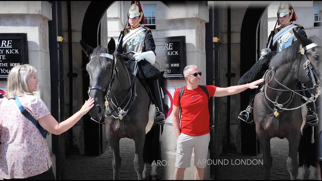 Lady Guard's Calm Command: Please Don't Touch The Horse. ❌🐴
