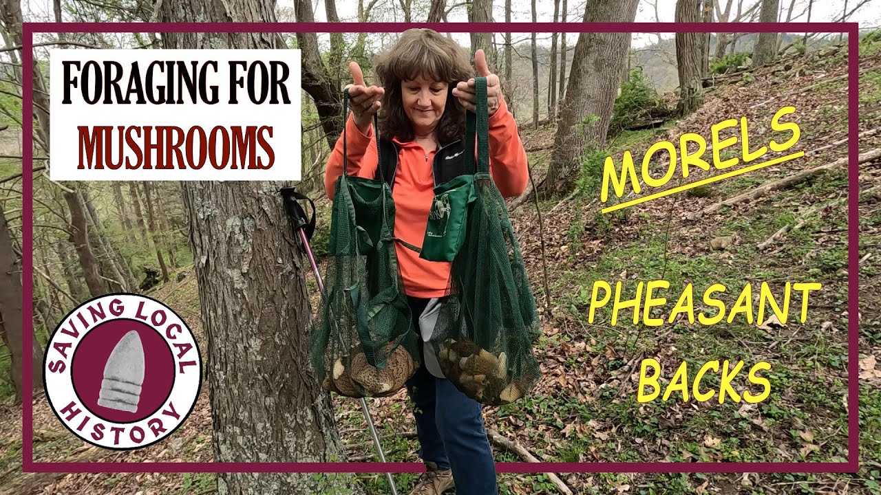 Foraging For [Morel Mushrooms] in the Beautiful Hills