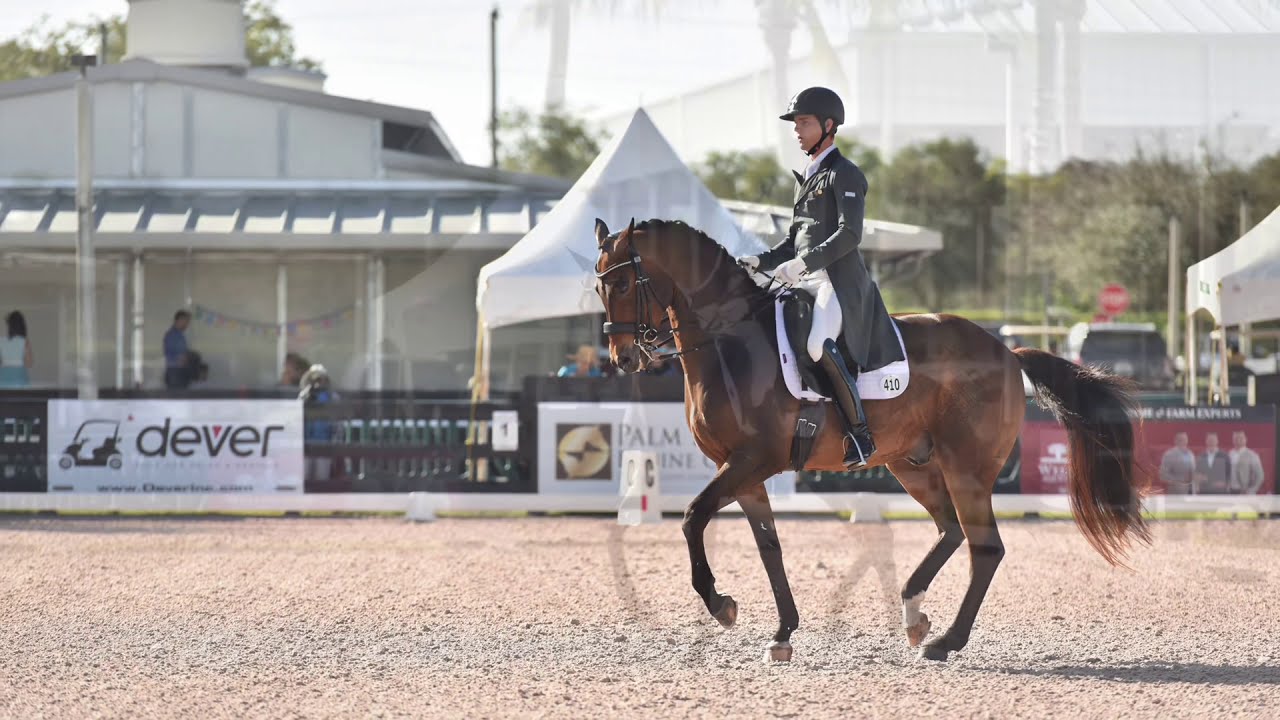 Leif and Scamp Intermediate II 2020 test 73.601%