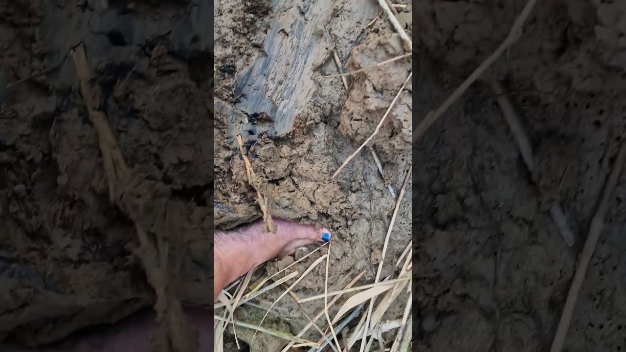 mucky piggies together barefoot in deep mud👣