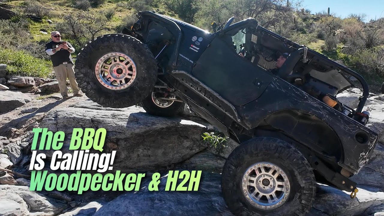 The BBQ is Calling! Woodpecker and H2H