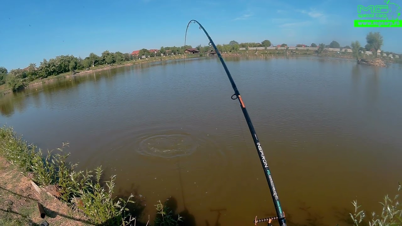 Pescuit pe Domeniul ValDan din Peciu Nou! Cu MG Special Carp!
