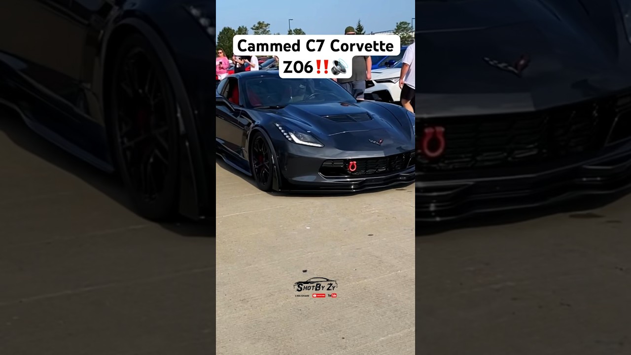 Cammed C7 Corvette Z06 рассекает по машинам и кофе Дейтона!
