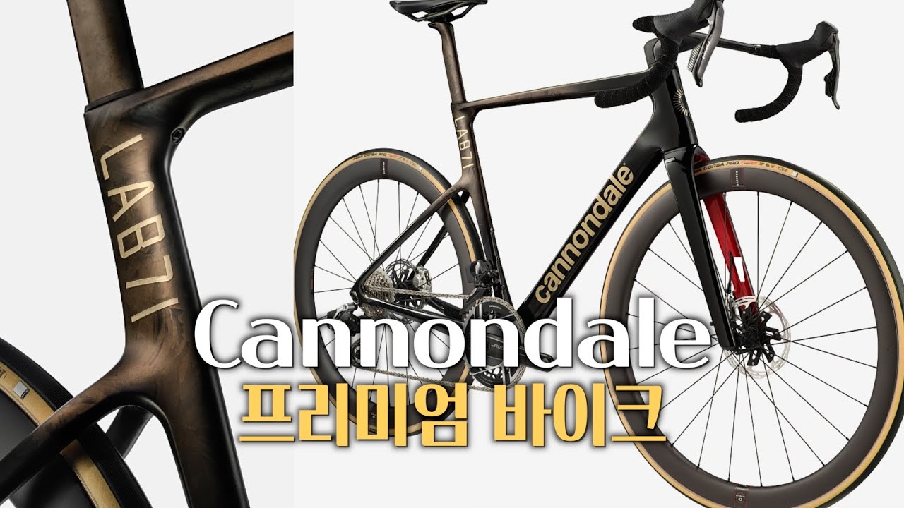 (전 세계 최초) 2025 캐논데일 랩 71 자전거 제품 리뷰