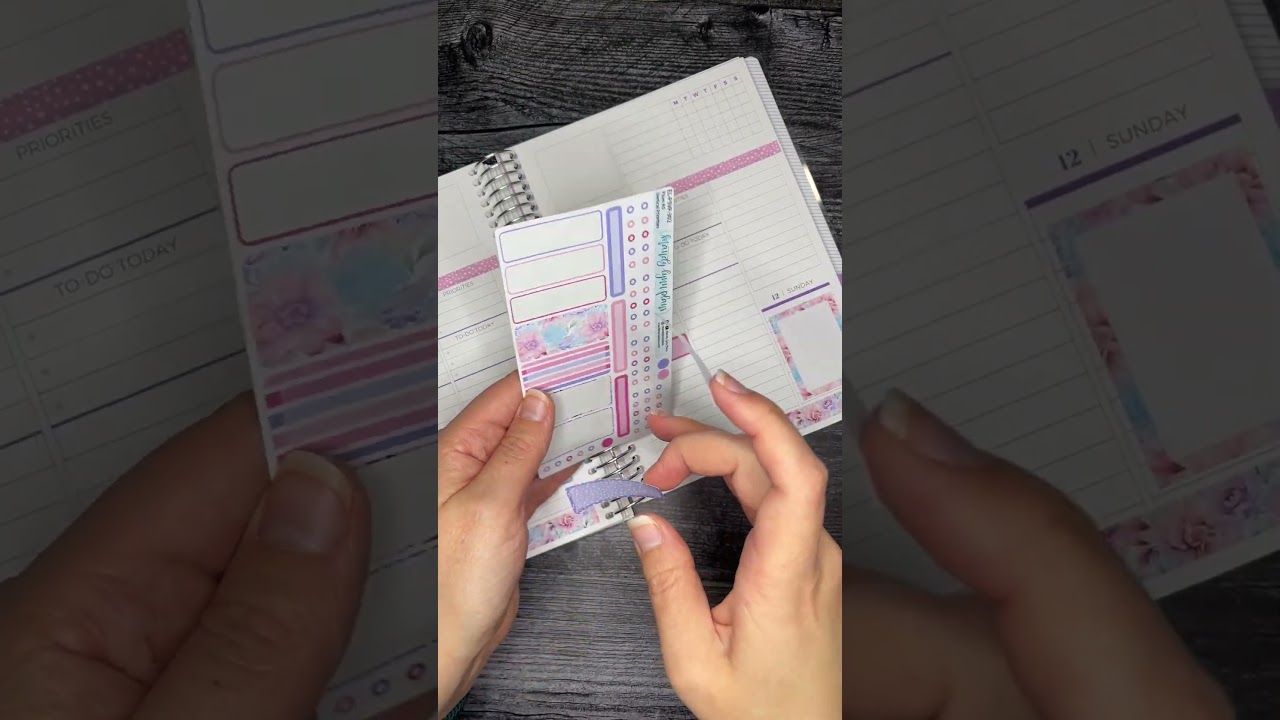 Plan with Me! This A5 Plum Paper A5 Vertical Priorities planner is so fun!  