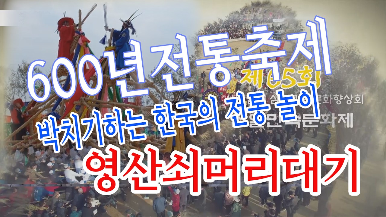 65회 영산쇠머리대기 600전통 한국무형문화제 민속축제