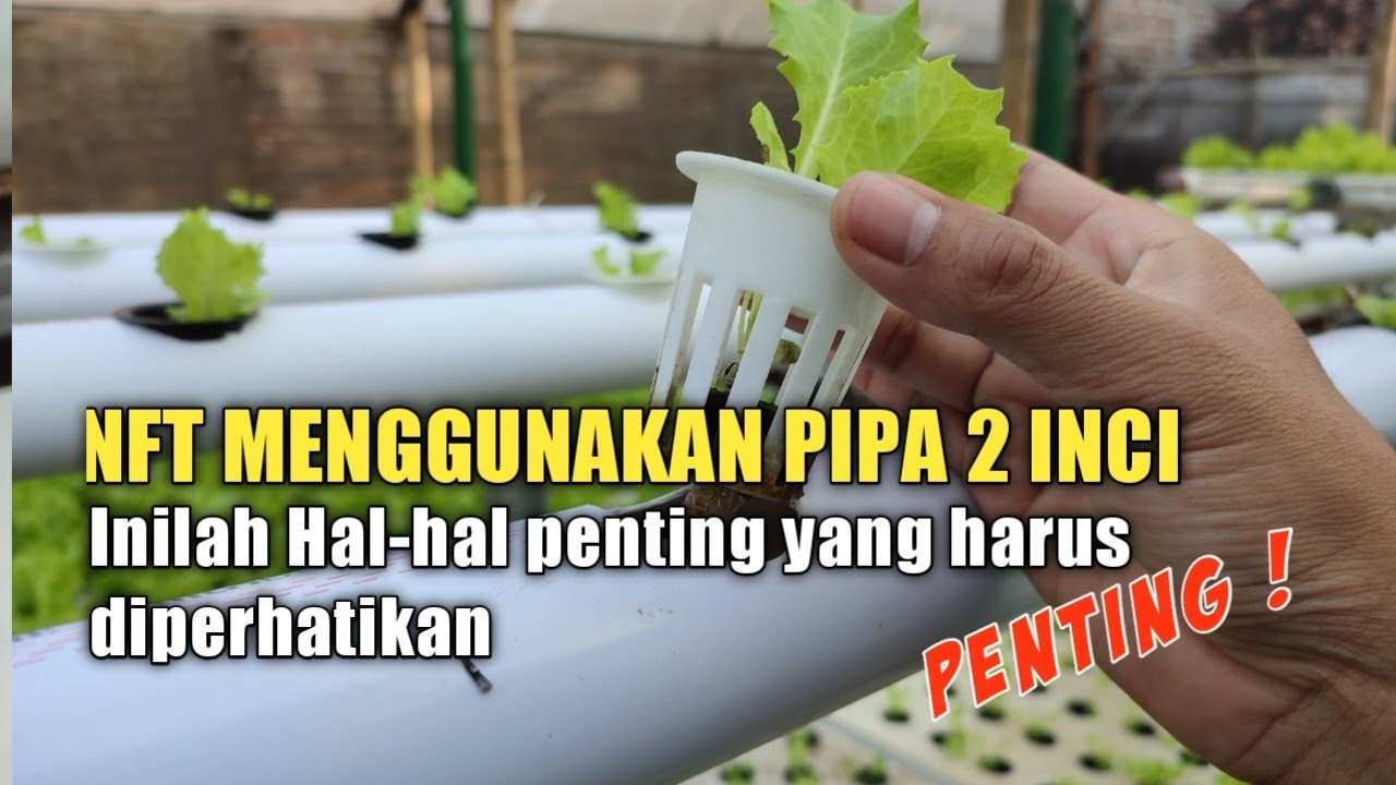 Spesifikasi teknis instalasi hidroponik sistem nft menggunakan pipa 2 inci