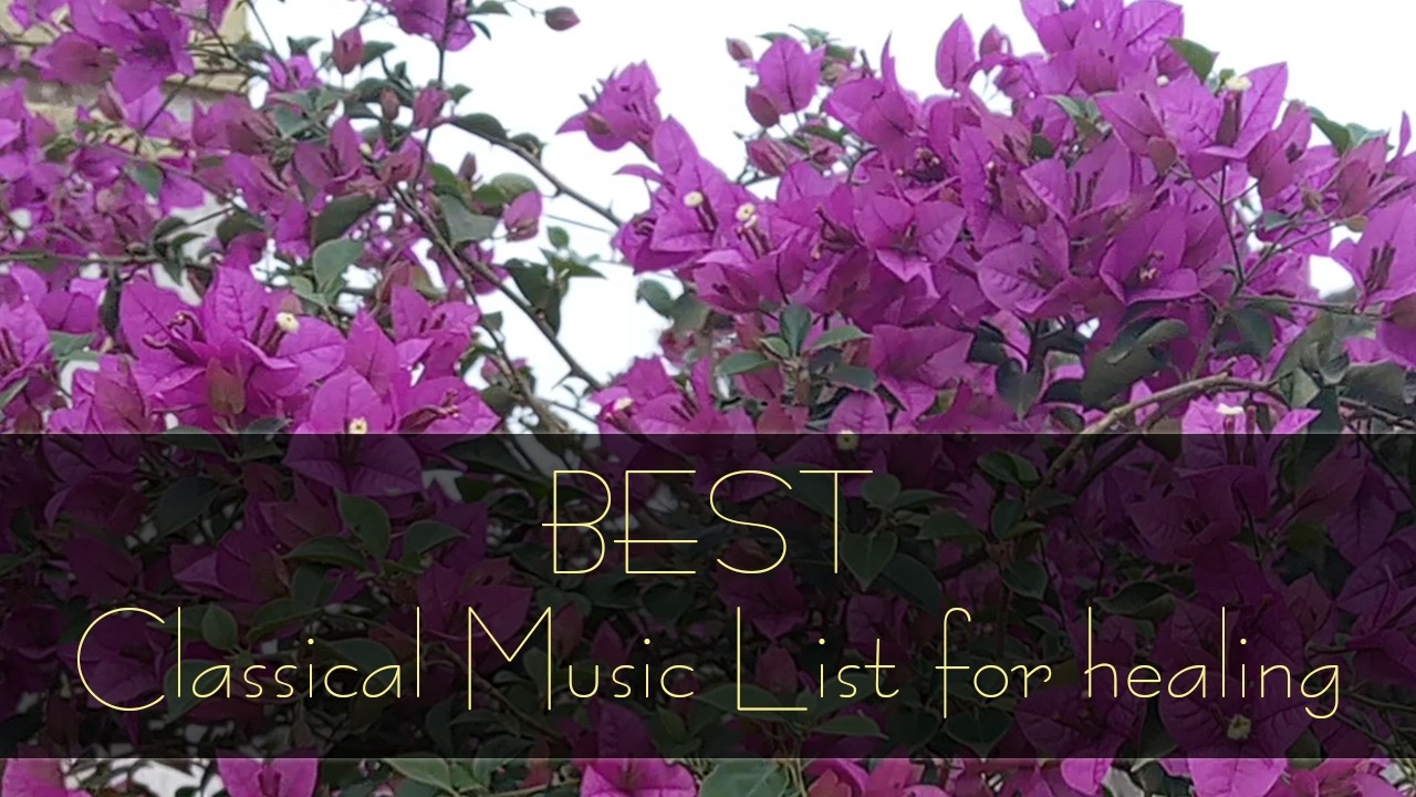 [광고없음][NO ADS] 힐링음악 | 마음 편안하게 하는 최고의 클래식 명곡 모음 🎧 BEST Classical Music List for healing 🌿🌿🌿