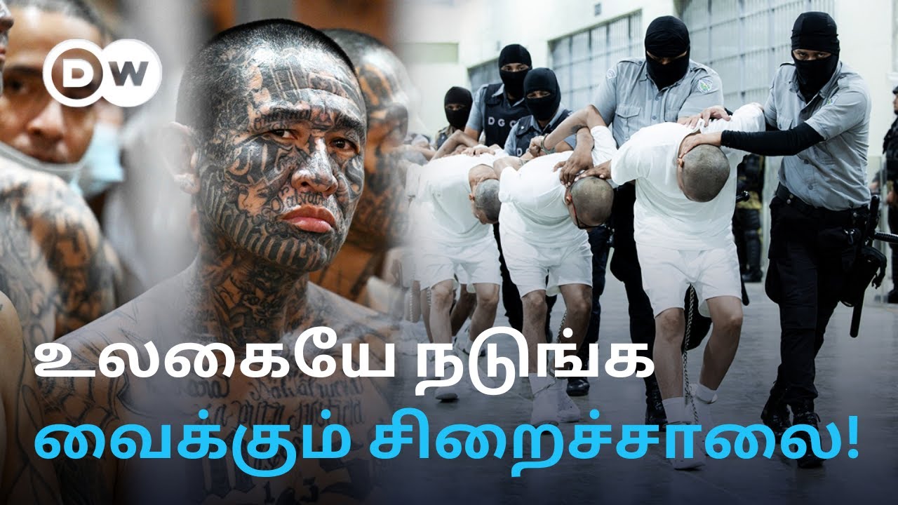 உலகின் Most Wanted Criminals இருக்கும் Prison - Trumpக்கு எப்படி உதவுகிறது?  El Salvador சிறை மர்மம்