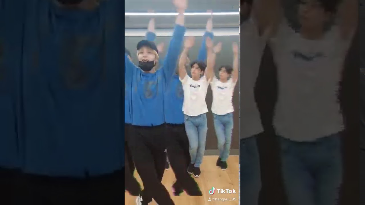 Hangyul Tiktok 200801 w Dohyon