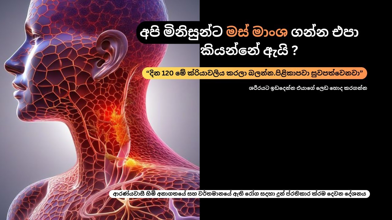 අපි මිනිසුන්ට මස් මාංශ ගන්න එපා කියන්නේ ඇයි?
