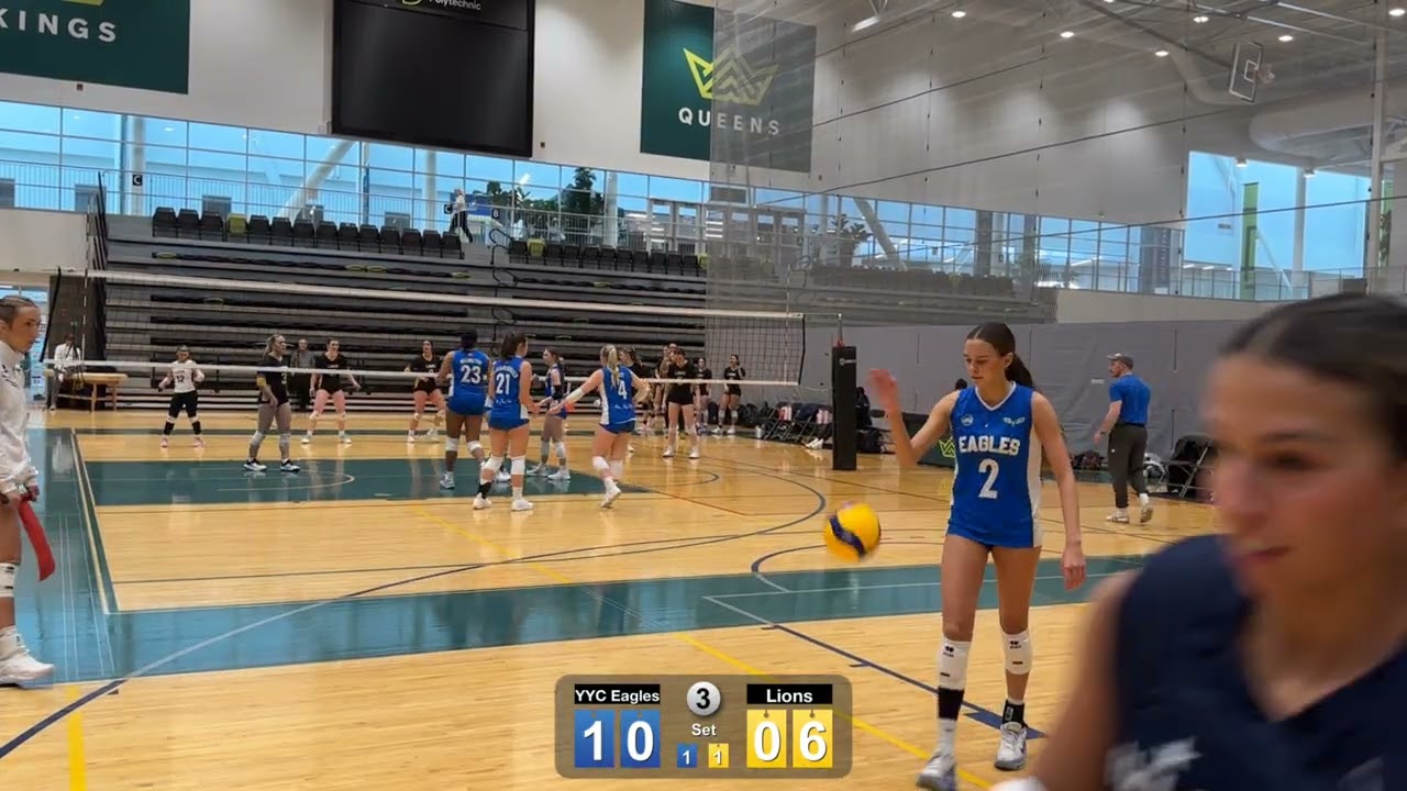 Lions Set 3
