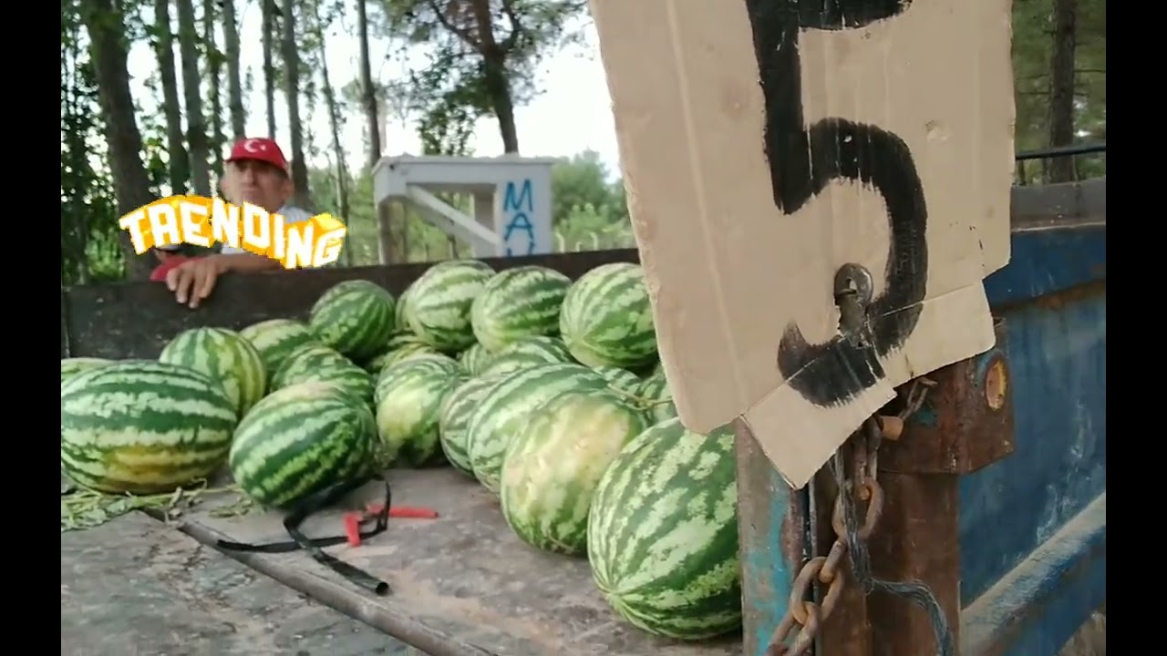 Karahisar- Tavas Yolu Karahısar -Tavas/DENİZLİ Yol Manzarası  Özel Görüntüler-22024Karahisar,
