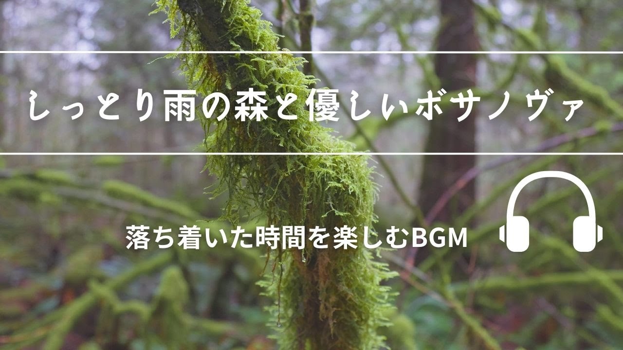 Natural Sonic「しっとり雨の森と優しいボサノヴァ」-　落ち着いた時間を楽しむBGM -