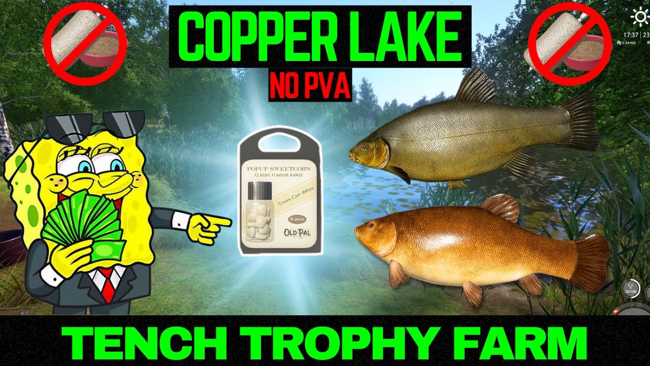 Russian Fishing 4 TROPHY TENCH FARM (NO PVA) (Copper Lake)